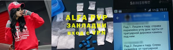 амф Аркадак