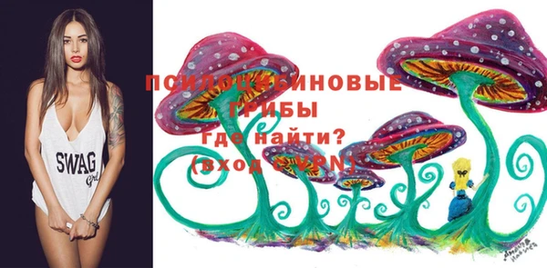 амф Аркадак