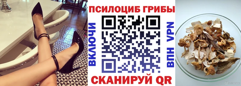 гидра tor  Рудня  Галлюциногенные грибы прущие грибы 
